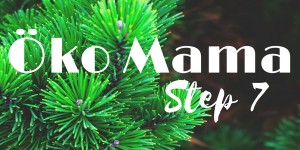 Beitragsbild des Blogbeitrags Öko Mama – Step 7 (nachhaltige Weihnachten) 
