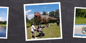 Beitragsbild des Blogbeitrags Ein Tag im Dinopark Agrarium Steinerkirchen (OÖ) 