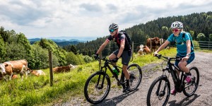 Beitragsbild des Blogbeitrags Superradler: Schwoag-Wirtbartl Tour im Schilcherland