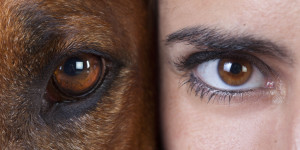 Beitragsbild des Blogbeitrags “Die Faszination der ‚Hunter Eyes‘ – Der angesagte Trend in der Schönheitschirurgie”
