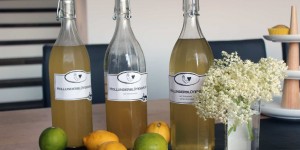 Beitragsbild des Blogbeitrags Holunderblütensaft: normal vs. mit Weißwein