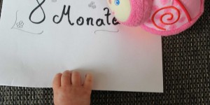 Beitragsbild des Blogbeitrags Das 8. Monat und der Abendbrei