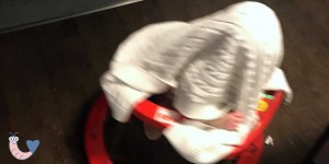 Beitragsbild des Blogbeitrags Babies, die wahren Poltergeister