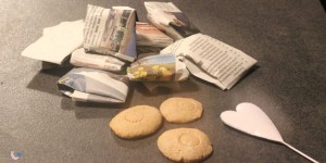 Beitragsbild des Blogbeitrags DIY Adventskalender für Hunde, inklusive Keksrezept