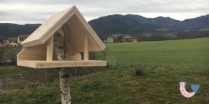 Beitragsbild des Blogbeitrags Ein Stümper baut ein Vogelhaus