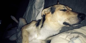 Beitragsbild des Blogbeitrags Die Zeit in der Familie richtig nutzen