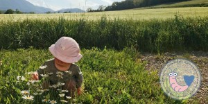 Beitragsbild des Blogbeitrags Vorkehrungen für einen entspannten Muttertag