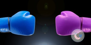 Beitragsbild des Blogbeitrags 1. Shrimpodie: Welches Kind haben wir lieber?