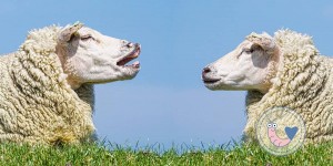 Beitragsbild des Blogbeitrags Wartet bis ihr Kinder habt – oder: Unsere Antwort nach knapp 2 Jahren