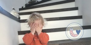 Beitragsbild des Blogbeitrags Wie entsteht eigentlich Schüchternheit bzw Geselligkeit?