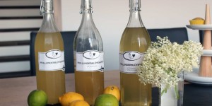 Beitragsbild des Blogbeitrags Holunderblütensaft: normal vs. mit Weißwein 