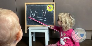 Beitragsbild des Blogbeitrags 5 einfache Schritte für eine perfekte Erziehung (durch ein Geschwisterkind)