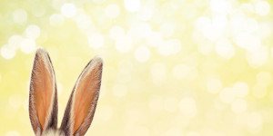 Beitragsbild des Blogbeitrags 7 Ostertipps für dich und deine Trauer