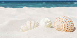 Beitragsbild des Blogbeitrags Herausforderung Sommerzeit in der Trauer