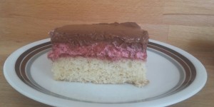 Beitragsbild des Blogbeitrags Himbeer-Schokoladencreme-Schnitten 
