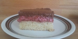 Beitragsbild des Blogbeitrags Himbeer-Schokoladencreme-Schnitten