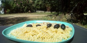 Beitragsbild des Blogbeitrags Vegane Campingküche 2018 