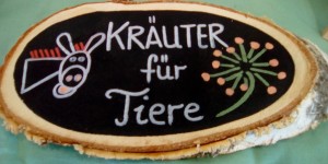 Beitragsbild des Blogbeitrags Bewegungsfreiheit und noch mehr Wohlbefinden für Hund, Katz´ und Pferd
