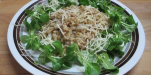 Beitragsbild des Blogbeitrags Cremiges Dinkelrisotto mit Kren