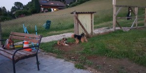 Beitragsbild des Blogbeitrags Ein Urlaub in Österreich