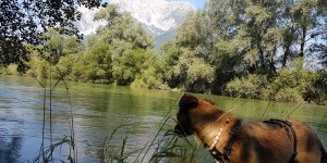 Beitragsbild des Blogbeitrags Shelby – unglaublich, wie die Zeit vergeht… (Folge 6)