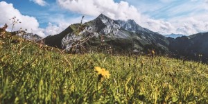 Beitragsbild des Blogbeitrags Frühjahrsputz: Hang Abnutzung und Pistenpflege