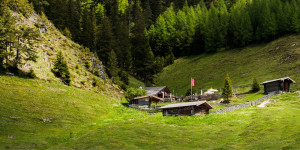 Beitragsbild des Blogbeitrags Alpine Glücksgefühle ganz ohne Schnee 