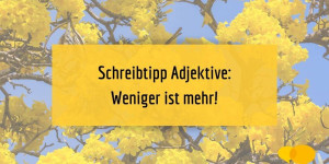 Beitragsbild des Blogbeitrags Schneller Schreibtipp: Adjektive – weniger ist mehr! 