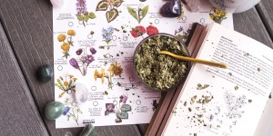 Beitragsbild des Blogbeitrags Uvae Ursi, what?! Eine kraftvolle Heilpflanze