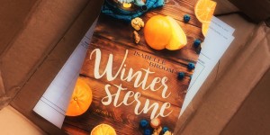 Beitragsbild des Blogbeitrags Wintersterne