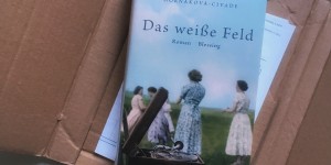Beitragsbild des Blogbeitrags Das weiße Feld