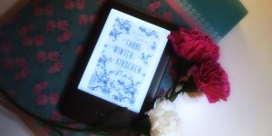 Beitragsbild des Blogbeitrags Die Farbe von Winterkirschen