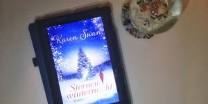 Beitragsbild des Blogbeitrags Sternenwinternacht