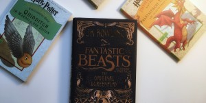 Beitragsbild des Blogbeitrags Fantastic Beasts