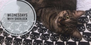 Beitragsbild des Blogbeitrags Wednesdays with Sherlock #12