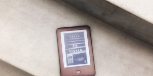 Beitragsbild des Blogbeitrags 13 Stufen