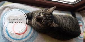 Beitragsbild des Blogbeitrags Wednesdays with Sherlock #15
