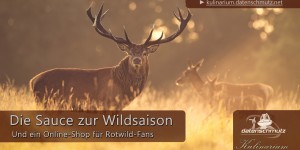 Beitragsbild des Blogbeitrags Bernos Tauernwild: So wild kann Essen aus dem Glas schmecken (& mein Rezept für Wildsauce)