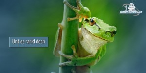 Beitragsbild des Blogbeitrags Gute Google-Rankings mit Blogs: Ziemlich unmöglich & wunderbar unverzichtbar (Plus: Vier Tipps gegen typische Blog-SEO-Probleme)
