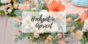 Beitragsbild des Blogbeitrags 30 strahlende Inspirationen für eine Hochzeit in Apricot