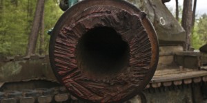 Beitragsbild des Blogbeitrags Der Panzerwald