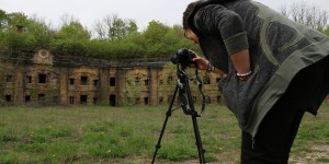 Beitragsbild des Blogbeitrags Roach Reviews: 2019