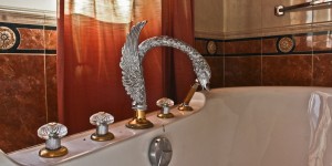 Beitragsbild des Blogbeitrags Silver Swan