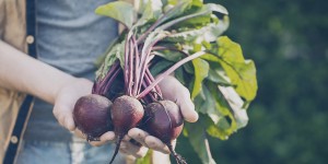 Beitragsbild des Blogbeitrags RONA – heimisches Superfood das es nicht nur farblich in sich hat 