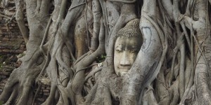 Beitragsbild des Blogbeitrags Ein Tag in Ayutthaya 