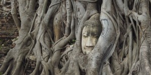 Beitragsbild des Blogbeitrags Ein Tag in Ayutthaya