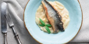 Beitragsbild des Blogbeitrags Saiblingsfilet mit Kohlrabi-Gemüse – fangfrischer Genuss aus dem Lungau