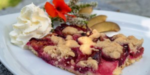 Beitragsbild des Blogbeitrags Zwetschkenfleck – Süßer, süßer Spätsommer