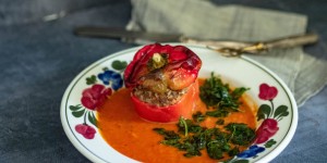 Beitragsbild des Blogbeitrags Gefüllte Paprika mit Wild und Paradeiser-Zucchini-Sauce