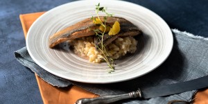 Beitragsbild des Blogbeitrags Alpen-Lachsforelle auf Orangen-Thymian Risotto